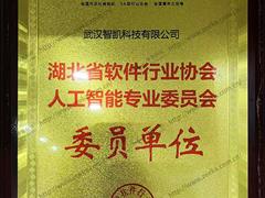 省软协人工智能专业委员会