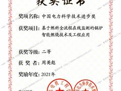 中国电力科学技术进步奖01