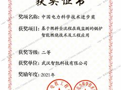 中国电力科学技术进步奖02