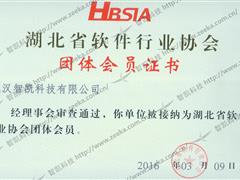 湖北省软件行业协会